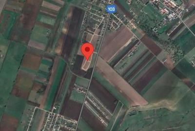 Teren de 625 mp, în Bod - 4