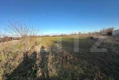 Casa batraneasca de vanzare, 48 mp, zona Patroaia Deal cu C - 12