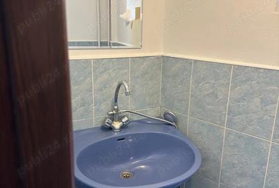 Inchiriez casa cartier Marasti - 9