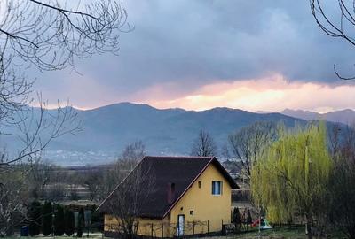 Casă cu 3 camere cu Teren 500 Mp în Central - 6