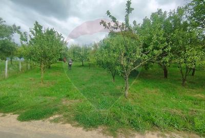 TEREN INTRAVILAN 2900 mp ȘIMLEU SILVANIEI/ Str. Corneliu Coposu/Sălaj - 1