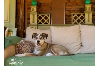 Pensiune de vânzare în Sighișoara, la câțiva pași de Cetatea Medievala - 25