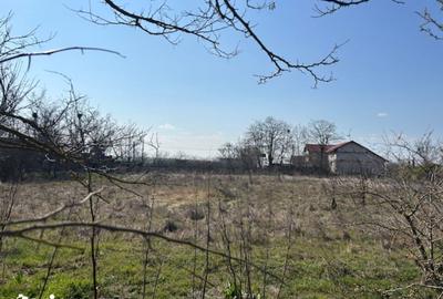 Teren de 1000 mp, în Corbu - 13