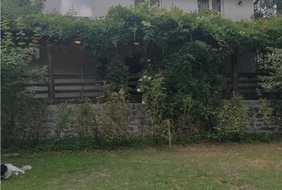 Casa de vacanta in Arges - 14