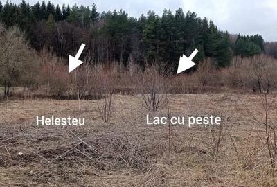 Spațiu comercial, în Negrești - 5