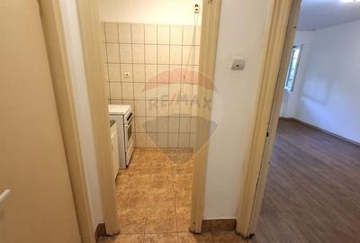 Vanzare Garsoniera 25.4mp, Bdul Ferdinand 131 - 6