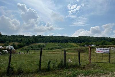 Teren Construcții intravilan de 3750 mp, în Tomești - 2