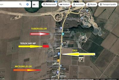 Teren 1 Decembrie - 3843mp - Livada cu Ciresi - 1