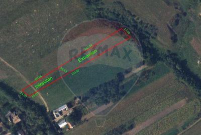 Teren 2925 mp comuna Mitocu Dragomirnei - 15