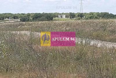 Teren 715mp in Snagov langa Equestria - 2