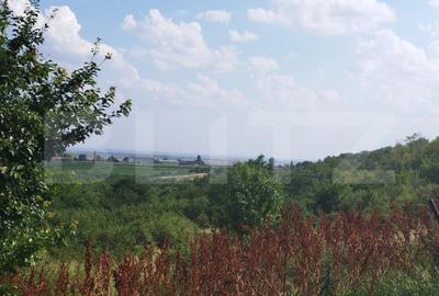 Teren de 3600 mp, în Central - 5