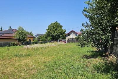 Teren de 1000 mp, în Aroneanu