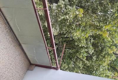 Apartament cu 4 camere decomandat în Bejan - 14