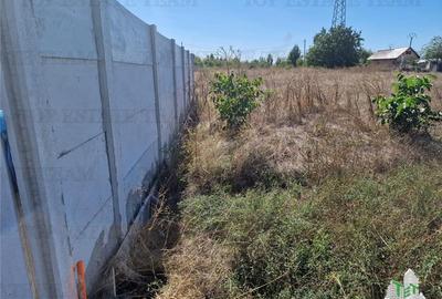 Teren 1491 mp in zona rezidentiala din Ciorogarla Teren 1491 mp in zona rezidentiala din Ciorogarla - 5