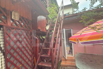 Casa de vanzare 5 camere + dependente - 29