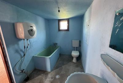 Casă cu 2 camere în Micălaca - 5