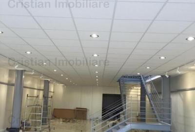 Spatiu prezentare-depozitare suprafata 400 mp artera ultrac - 19