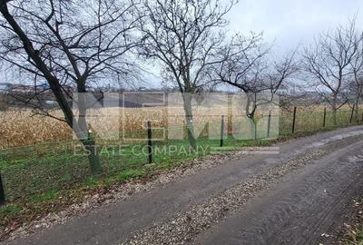 TEREN MOARA I SUCEAVA I LOC DE CASA I 20Ari I 60,000Euro - 3