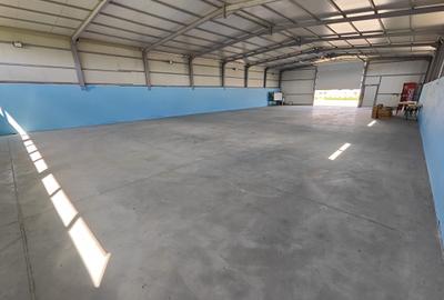 Hala noua depozitare/productie/logistica, zona Prejmer, 1200mp - 6