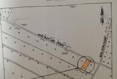 Spațiu comercial, în Central