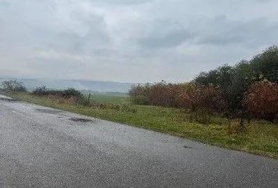 Teren extravilan Bacesti, ID: R2822108 - 10