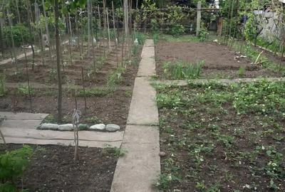 Casă cu 5 camere cu Teren 460 Mp în Calea Dumbrăvii - 8