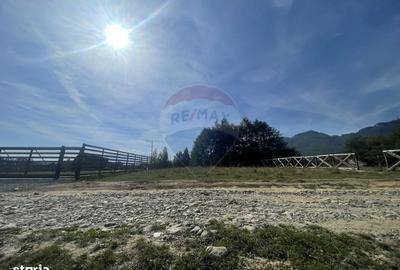 Spațiu comercial, în Predeluț - 10