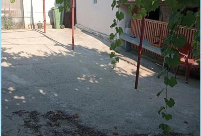 Casă cu Teren 13000 Mp în Central - 3