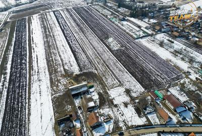 Teren de 6245 mp, în Dobolii de Jos - 9