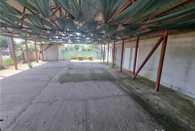 Spațiu comercial, de 300 mp, în Buzescu - 2