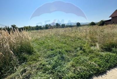Teren 720mp Sighetu Marmatiei / Strada Lazul Sesului - 3