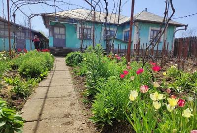 Casă de vânzare în comuna Perișor, județul Dolj - 3