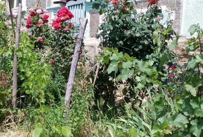 Casă cu 3 camere în Berca - 2