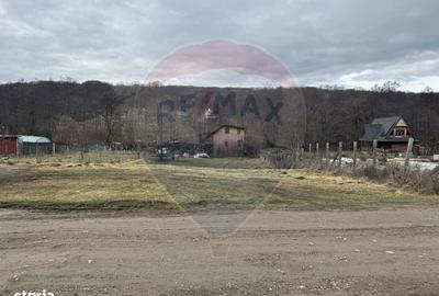 Spațiu comercial, în Tăuți - 9