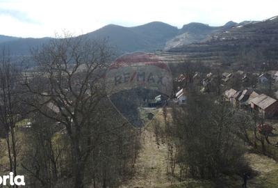 Teren de 1271 mp, în Livezile - 4