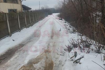 TEREN INTRAVILAN - STRADA AEROPORTULUI\ CARANSEBEȘ\JUD.CARAȘ-SEVERIN - 6