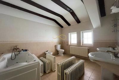 Casa Snagov | 9 Camere | Iesire la lac | Ponton - 24