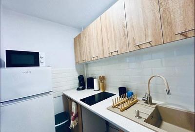 Garsonieră semidecomandată în Brazda lui Novac - 9