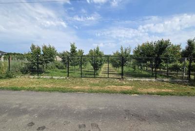 Teren Construcții intravilan de 800 mp, în Vetiș