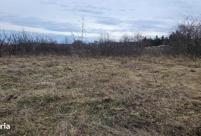 Teren de 450 mp, în Central