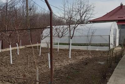 Casă în Beuca - 5
