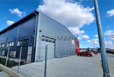 Hala noua de inchiriat , zona Lugojului - Aeroport Tmisoara - 9