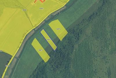 Teren agricol extravilan de 23700 mp, în Nadeș - 4