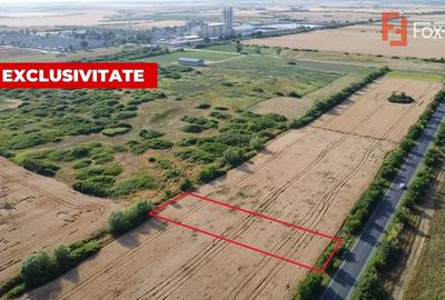 Teren Construcții intravilan de 1600 mp, în Pădureni (Jebel) - 5