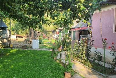 Casă cu 3 camere în Bord - 5