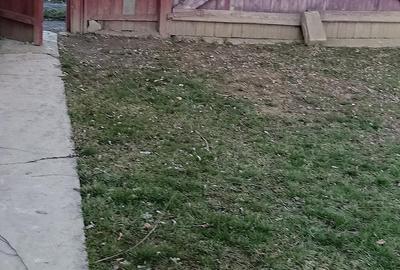 Casă cu Teren 3000 Mp în Central - 2