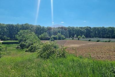 Teren 872,43 mp Snagov - 8