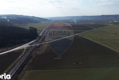 Teren de 19319 mp, în Laslea - 13