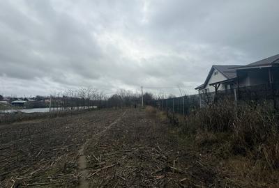 Teren 2.000 Mp | Ileana - Calarasi | Dubla Deschidere Stradala - 3