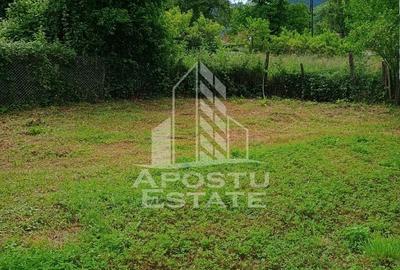 Casa bătrânească de vânzare | 4 camere | Hunedoara | Micănești - 9